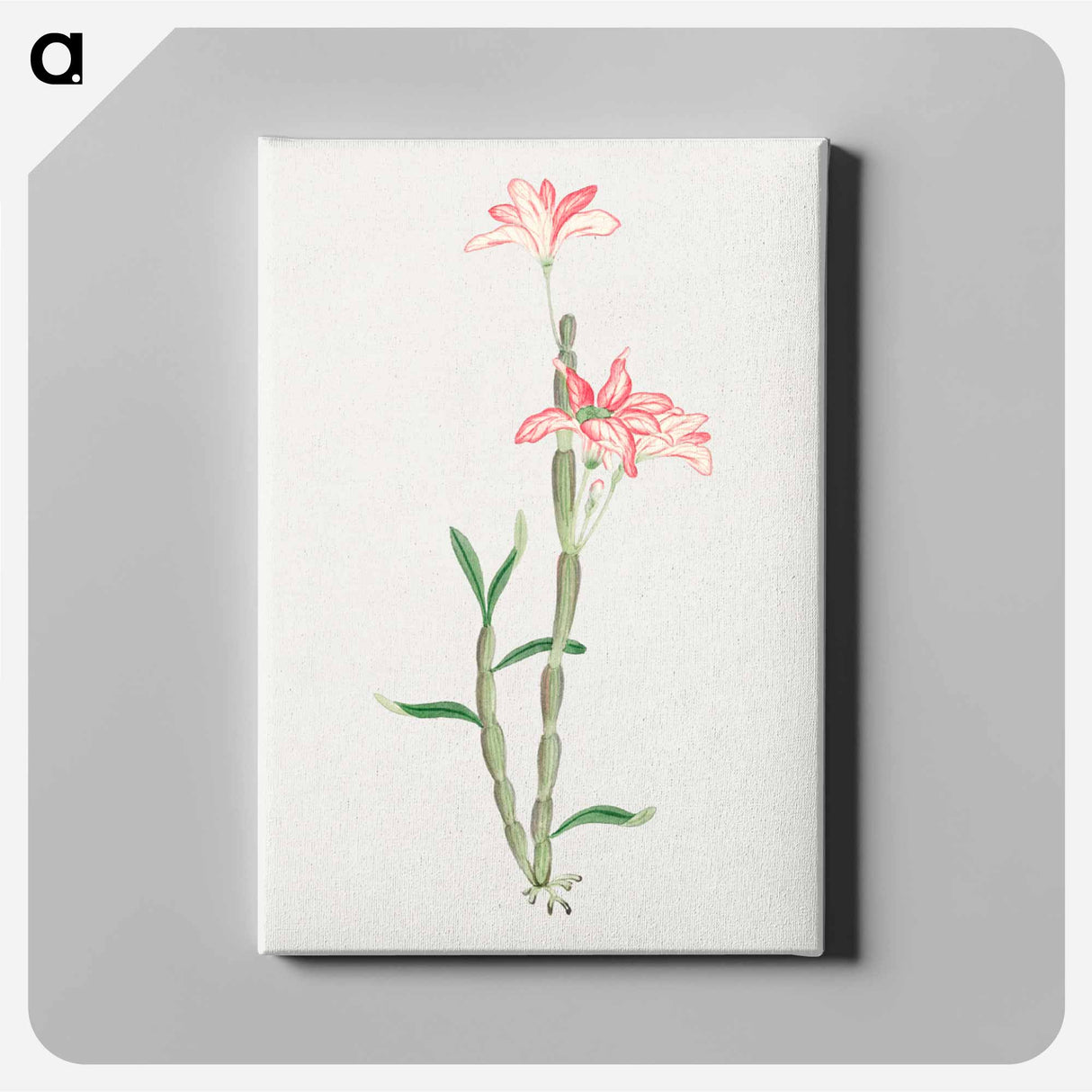 Sakoku - 19世紀の日本の花 Canvas.