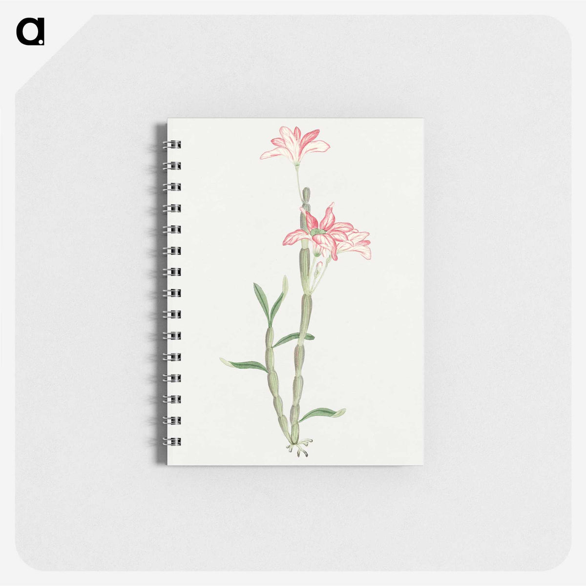 1-15_19th-Century-Japanese-Flowers_memo
