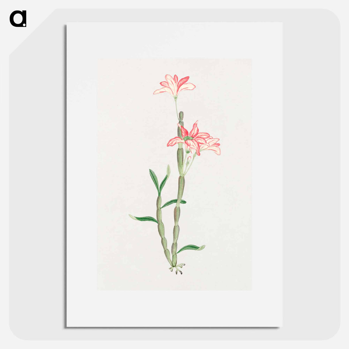 Sakoku - 19世紀の日本の花 Poster.