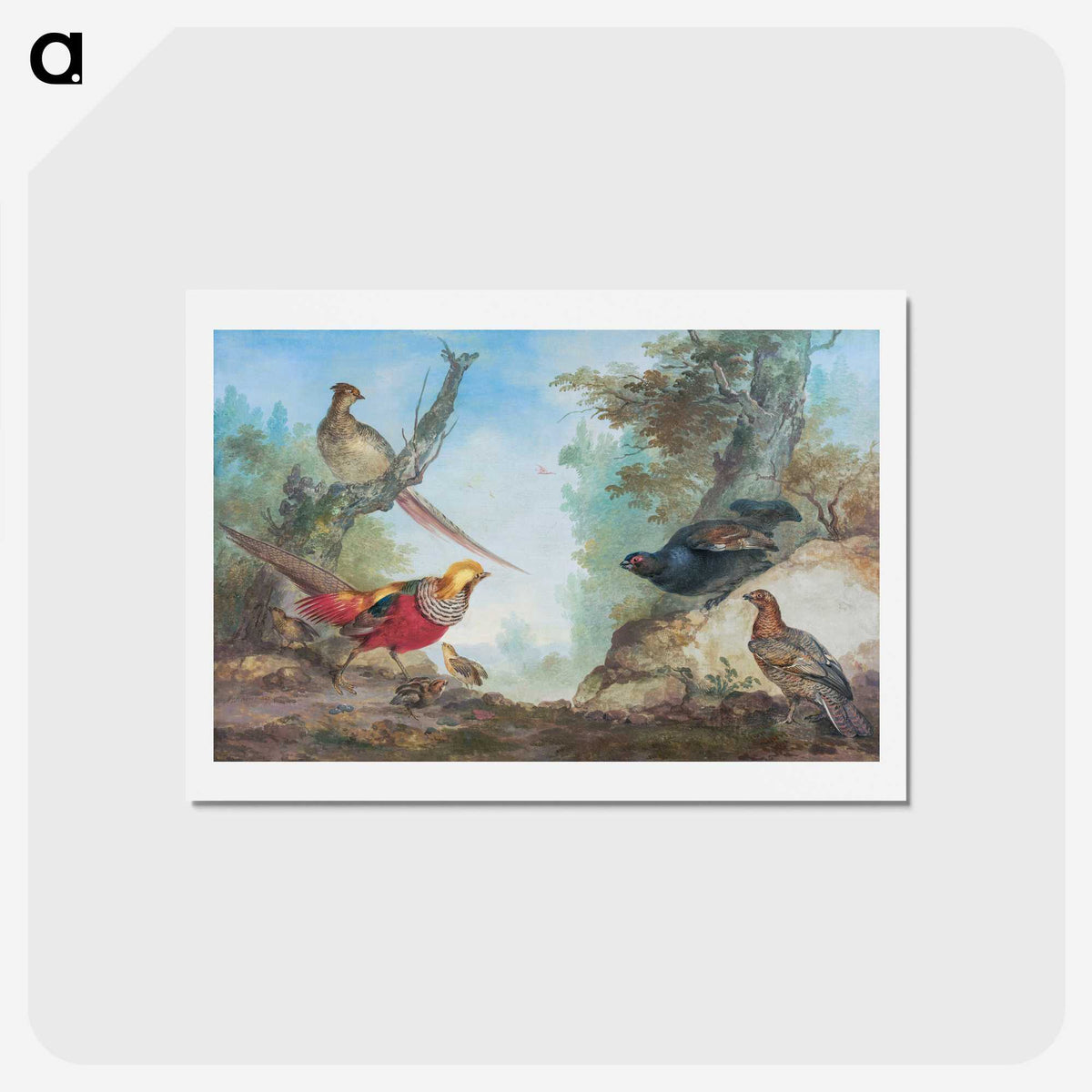 1-15_Aert-Schouman_hagaki