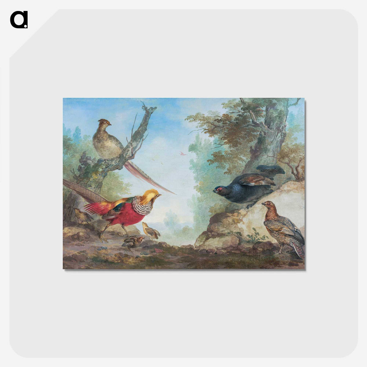 1-15_Aert-Schouman_postcard