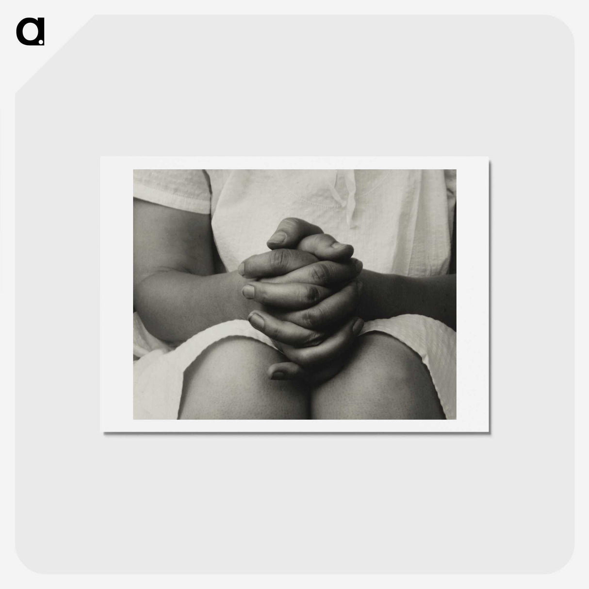 1-15_Alfred-Stieglitz_hagaki