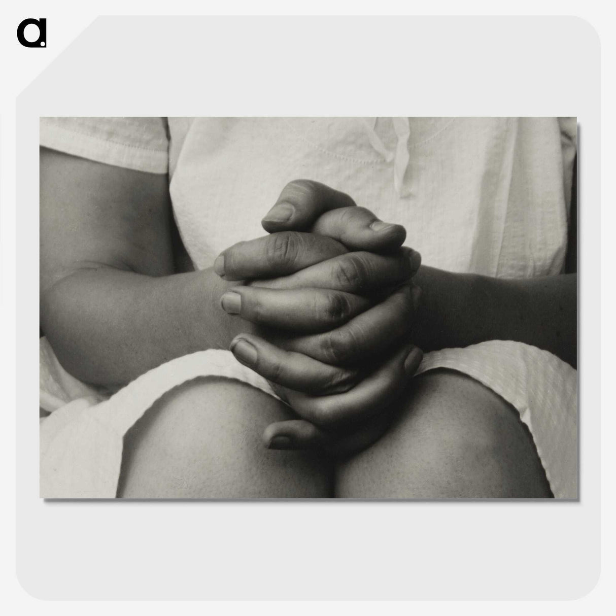 1-15_Alfred-Stieglitz_picture-crop