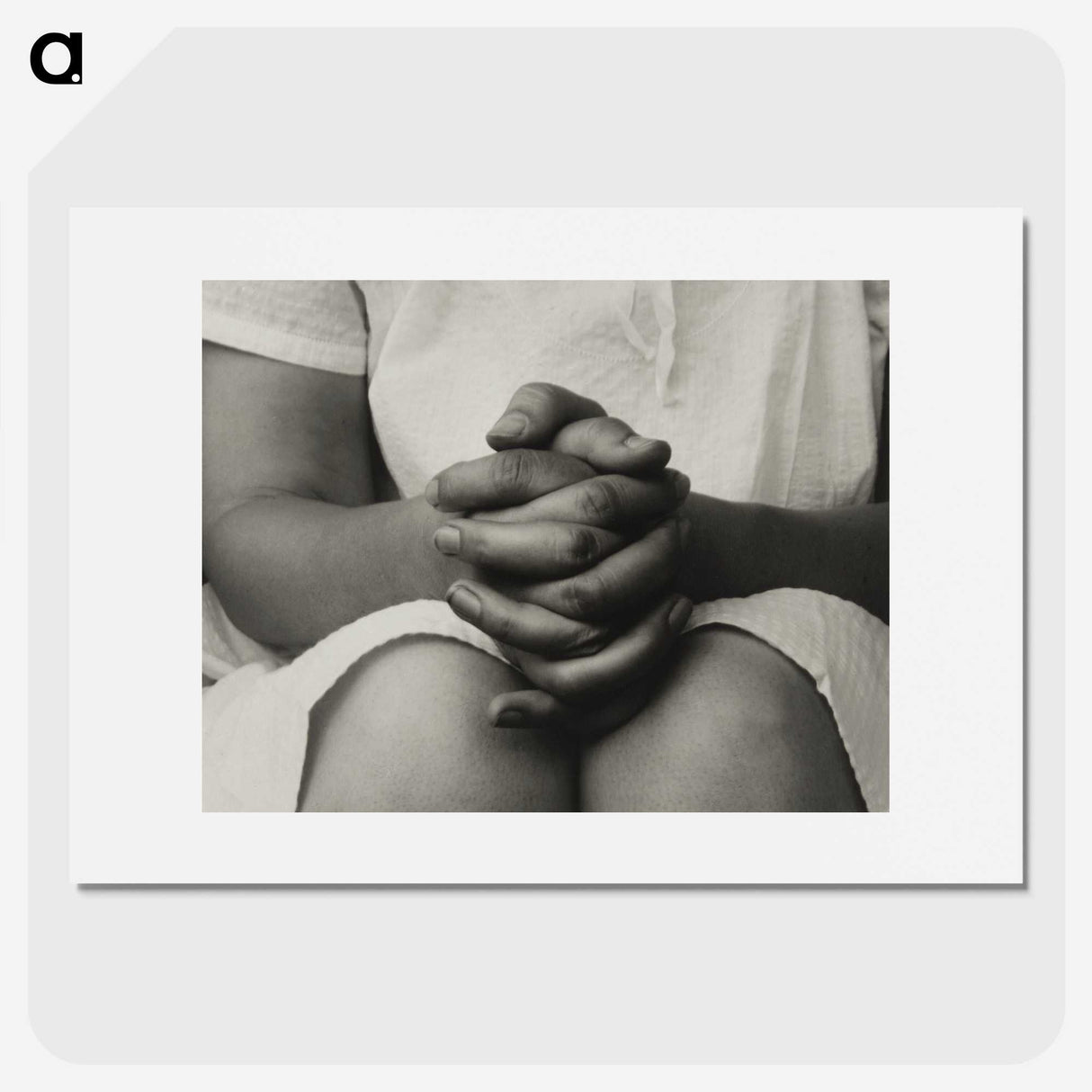 1-15_Alfred-Stieglitz_picture