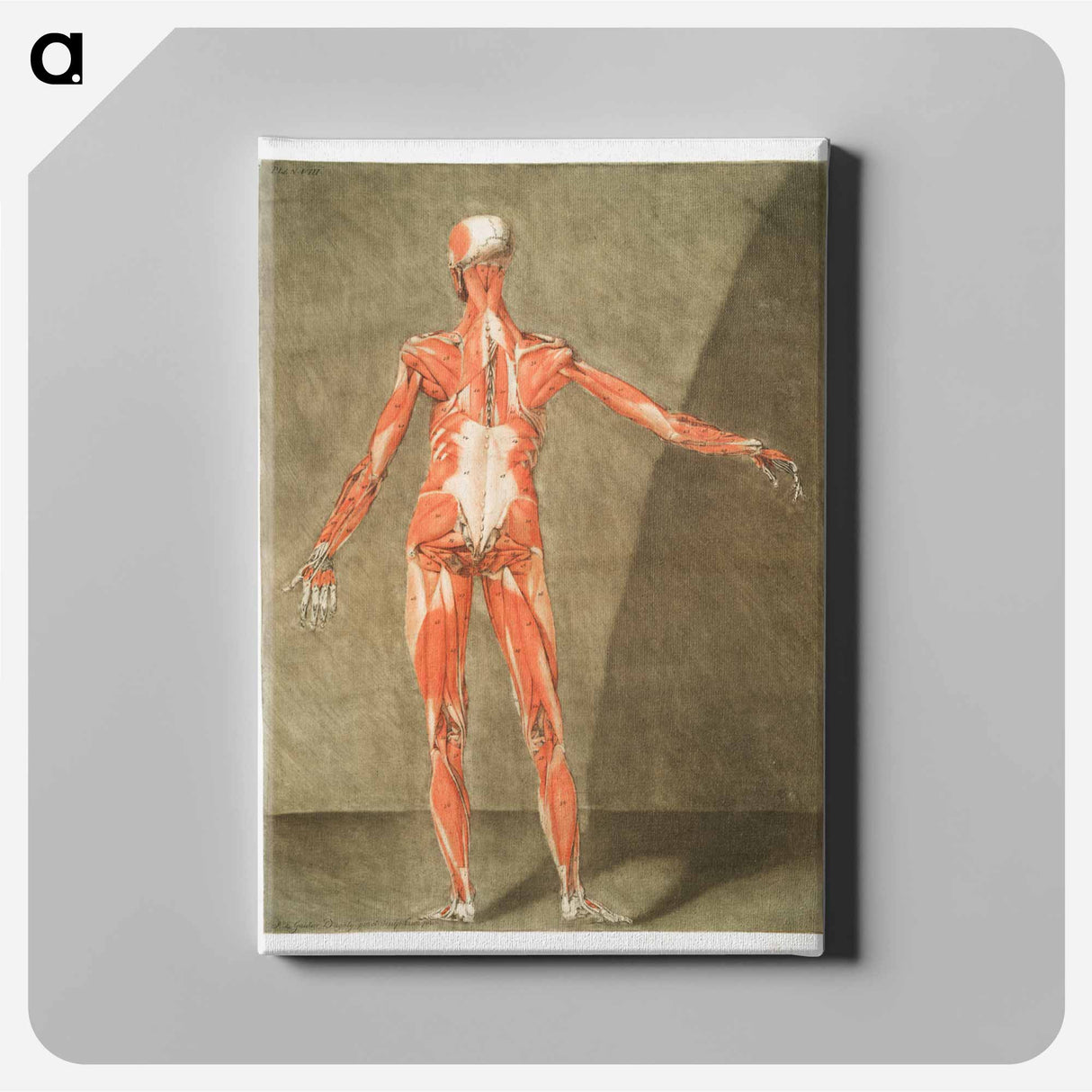 This fascinating collection of anatomical illustrations - アルノルド エロイ ゴーティエ ダゴティ Canvas.
