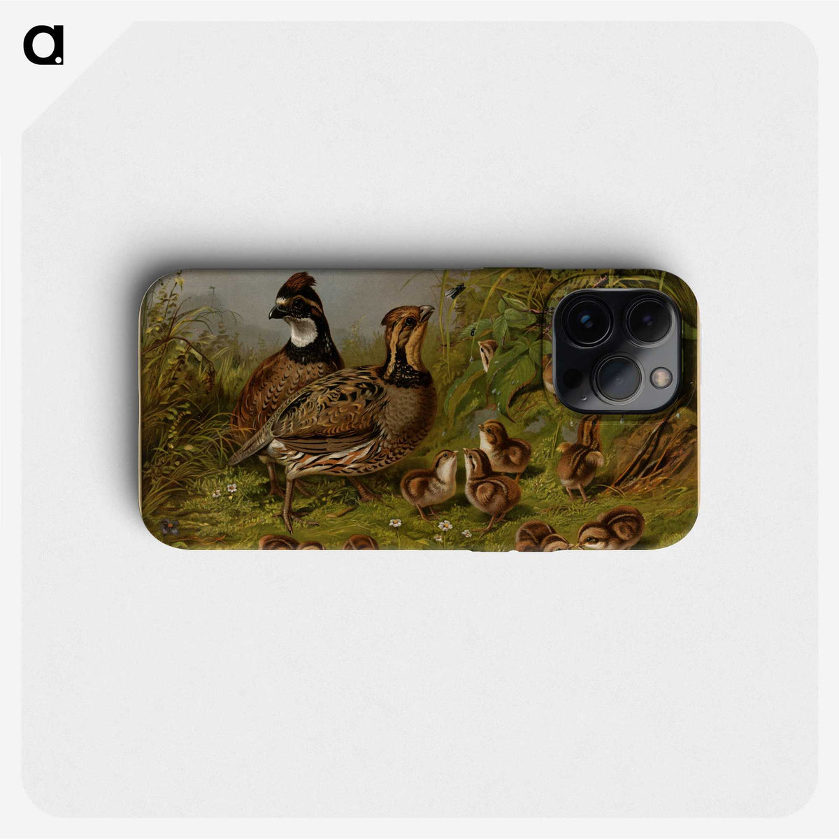 1-15_Arthur-Fitzwilliam-Tait_phone