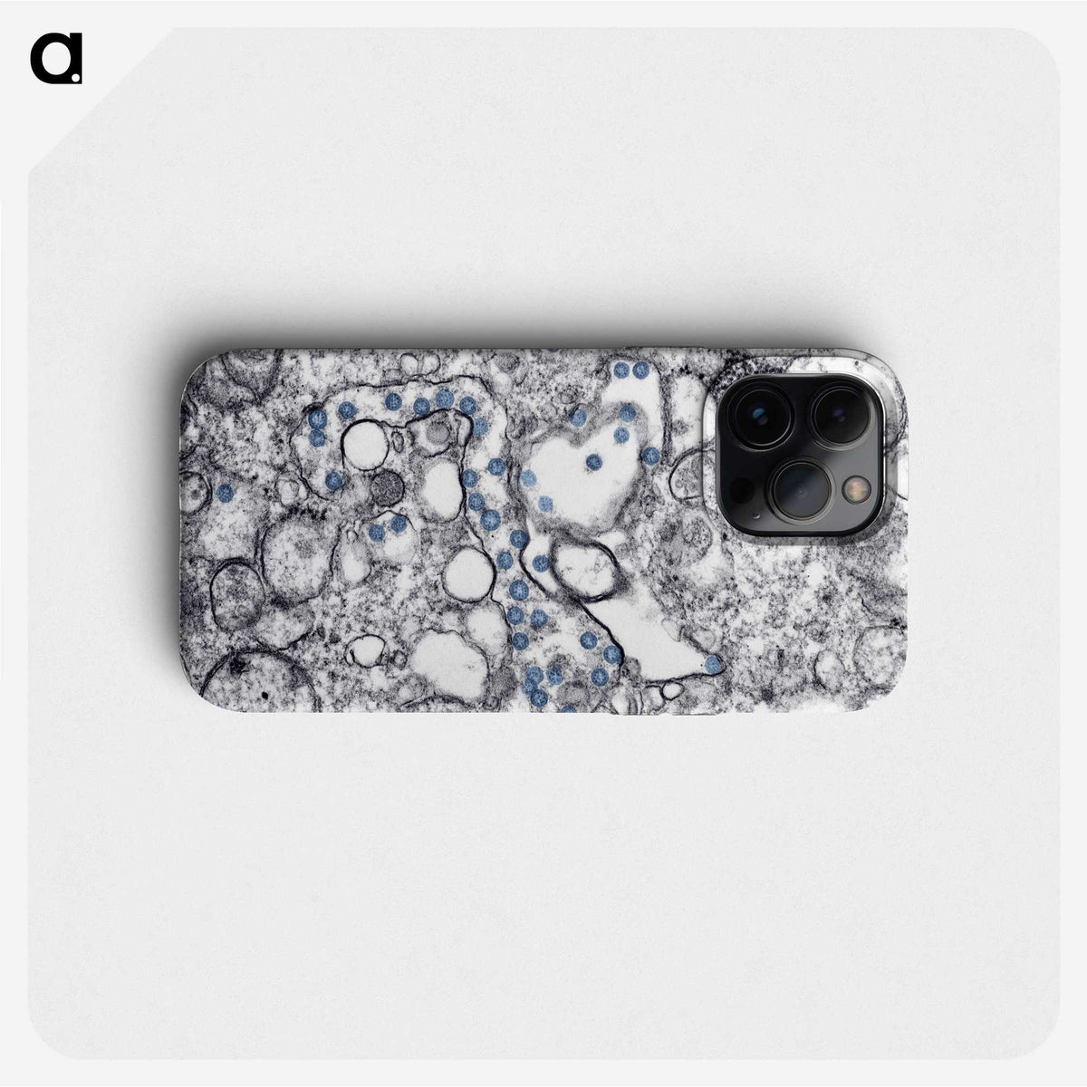 1-15_COVID-19_phone