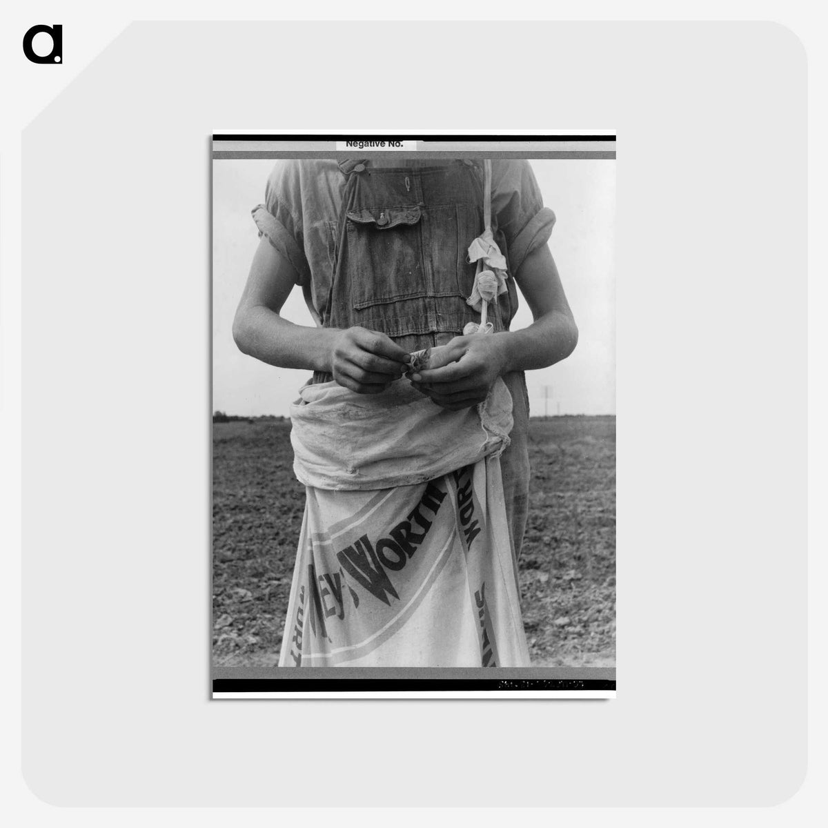1-15_Dorothea-Lange_postcard