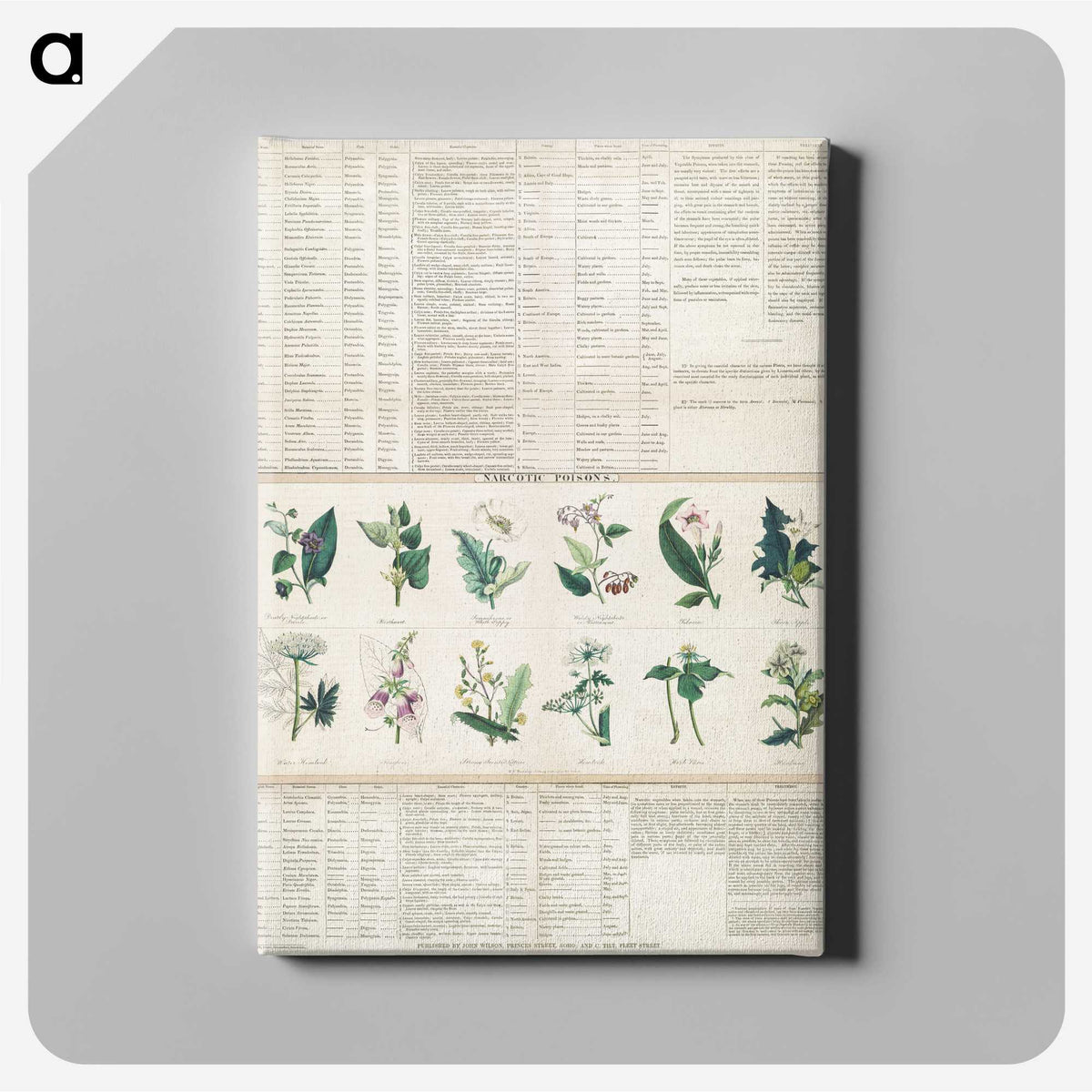 1-15_Education-Charts_canvas