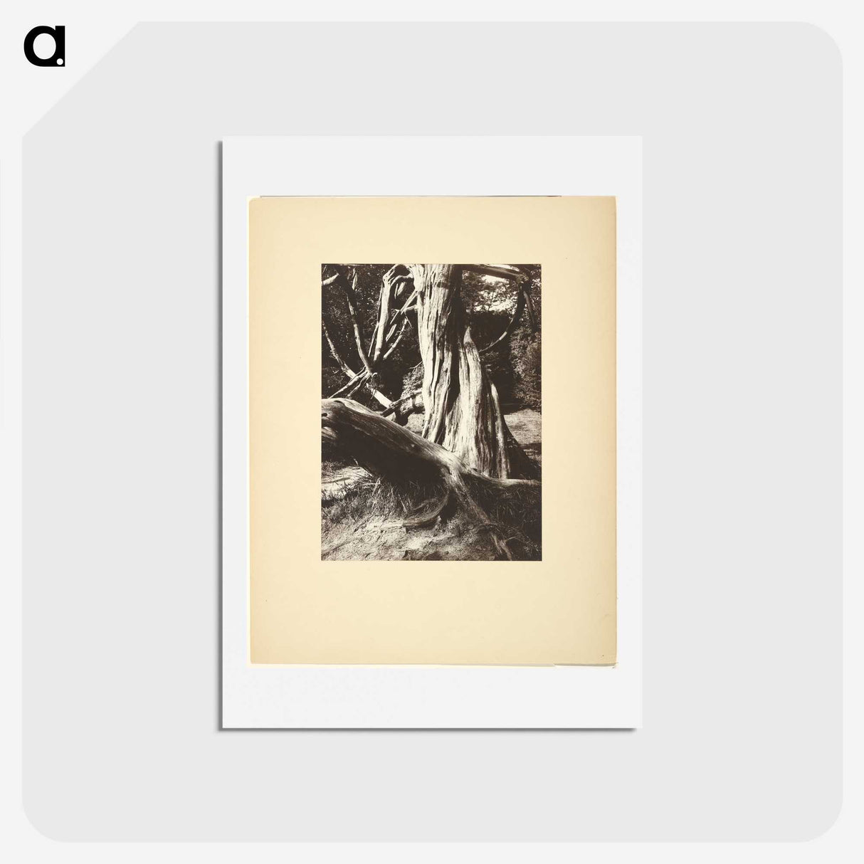 1-15_Eugene-Atget_hagaki