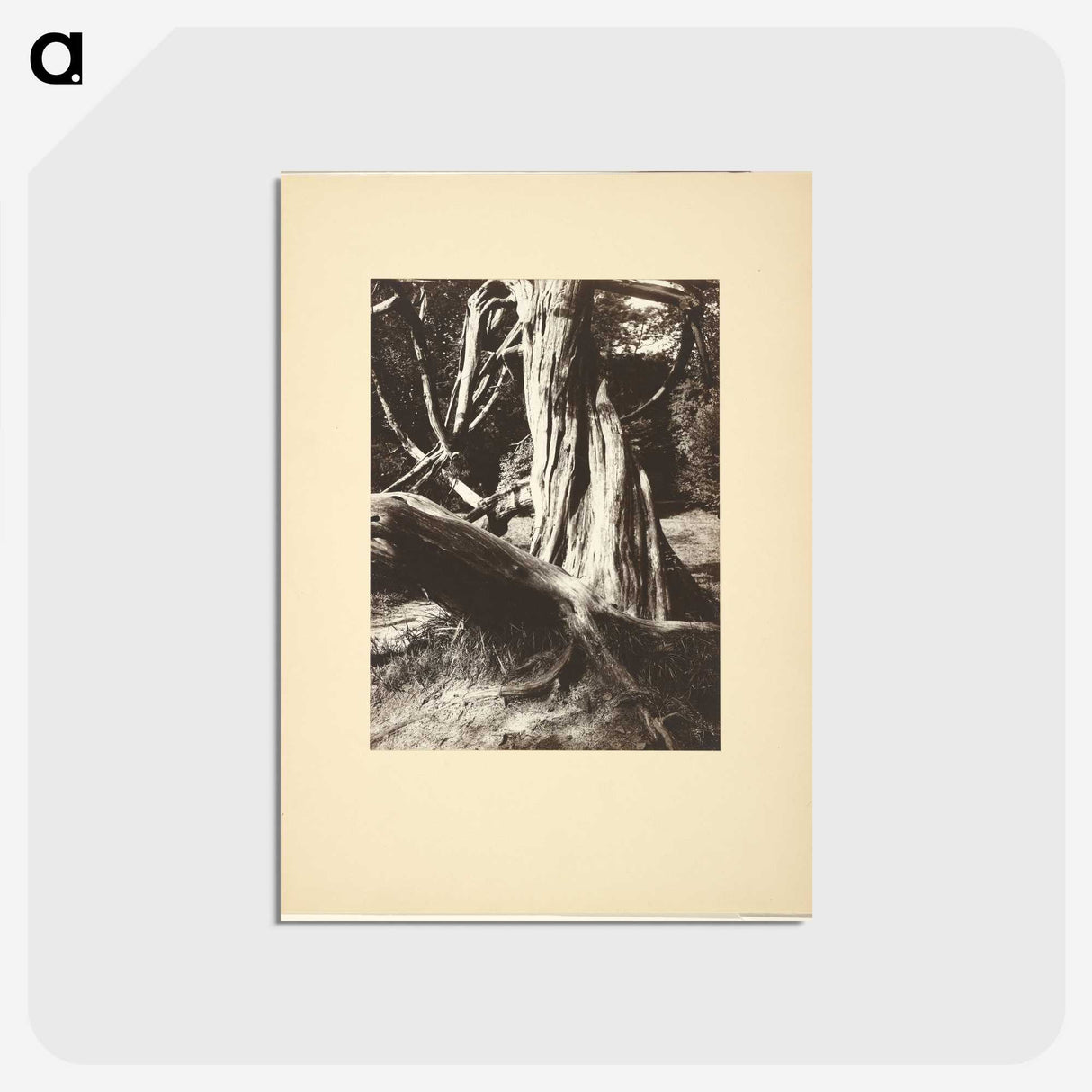 1-15_Eugene-Atget_postcard