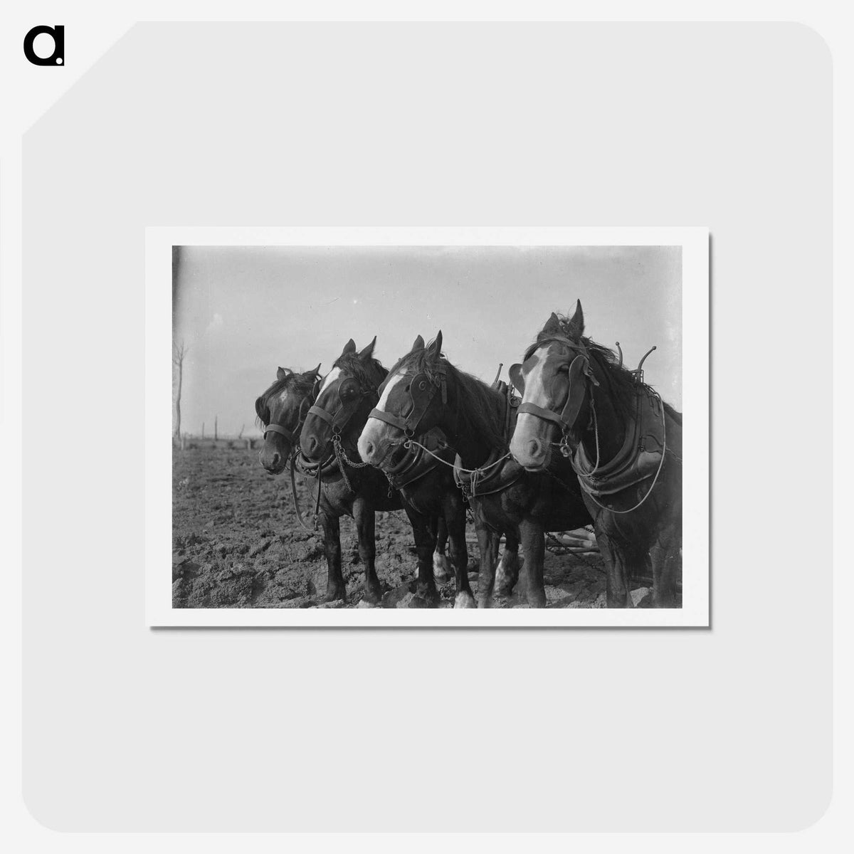 1-15_Frederick-Charles-Brockett_hagaki