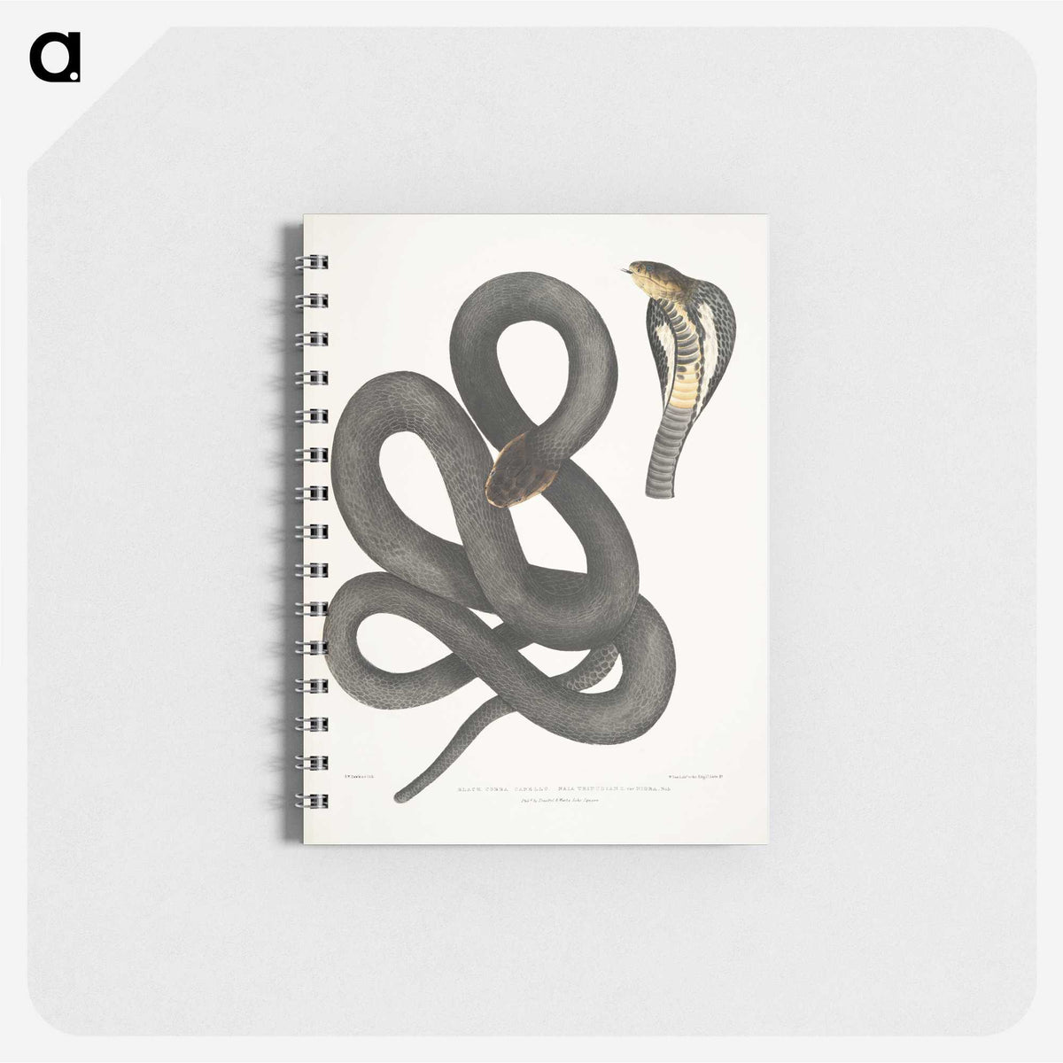 1-15_Indian-Zoology_memo