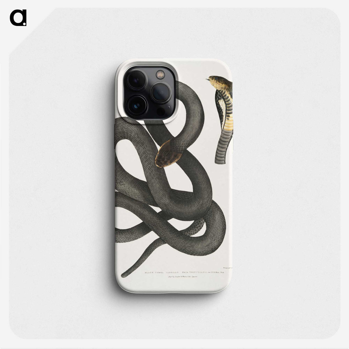 1-15_Indian-Zoology_phone