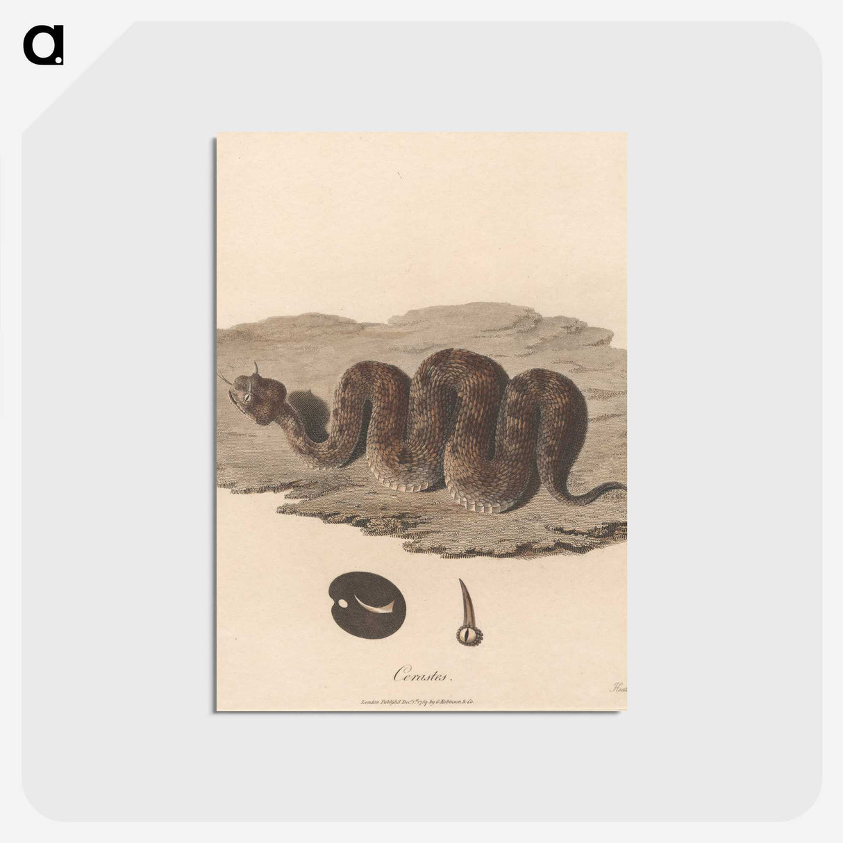 1-15_James-Heath_postcard
