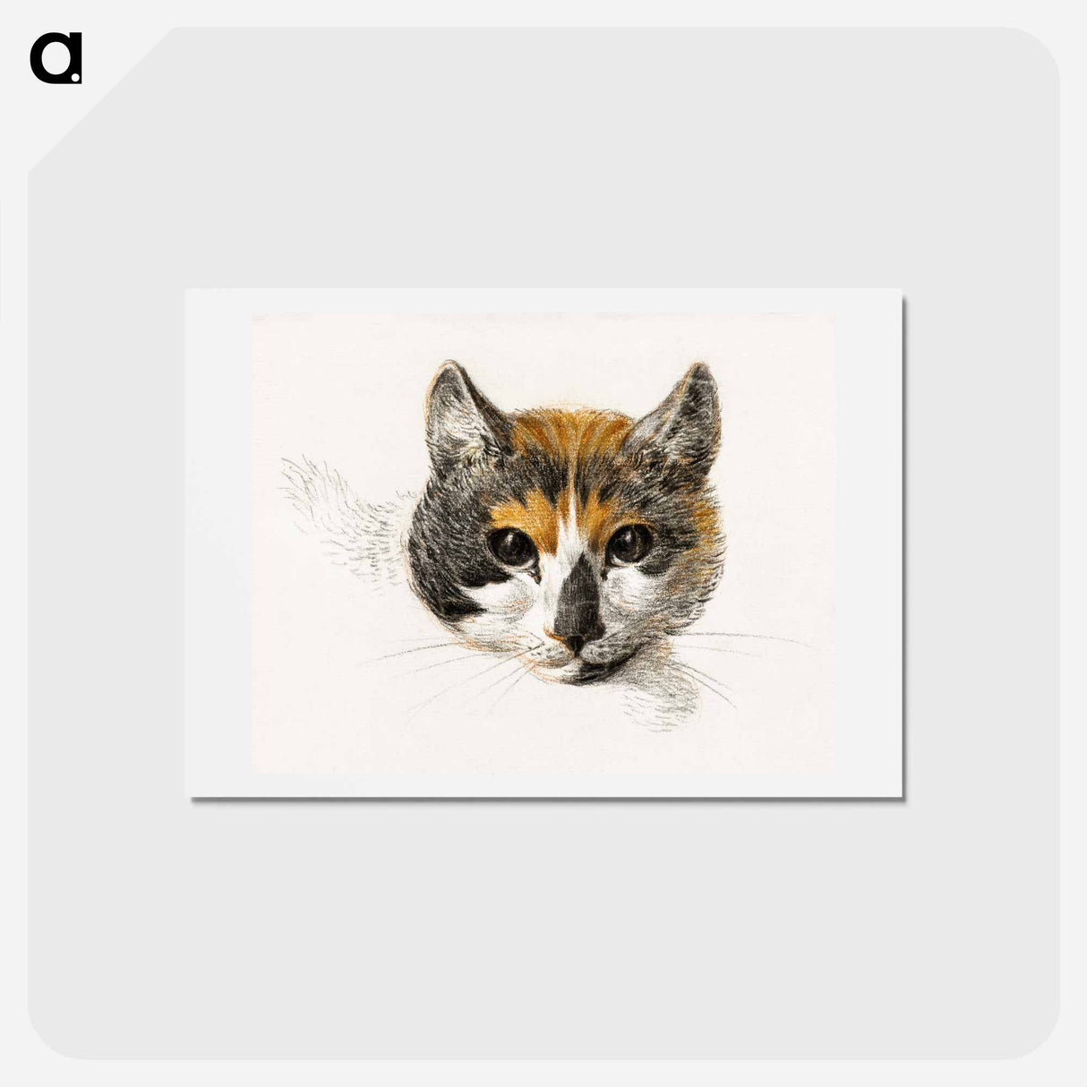 アートポストカード-Head of a calico cat with open eyes - ジャン ベルナール Postcard.