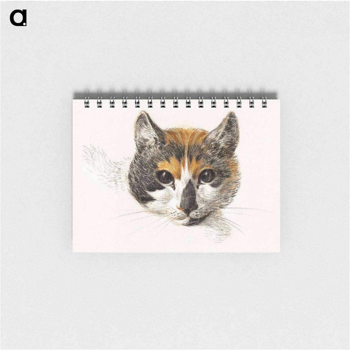 Head of a calico cat with open eyes - ジャン ベルナール Memo.