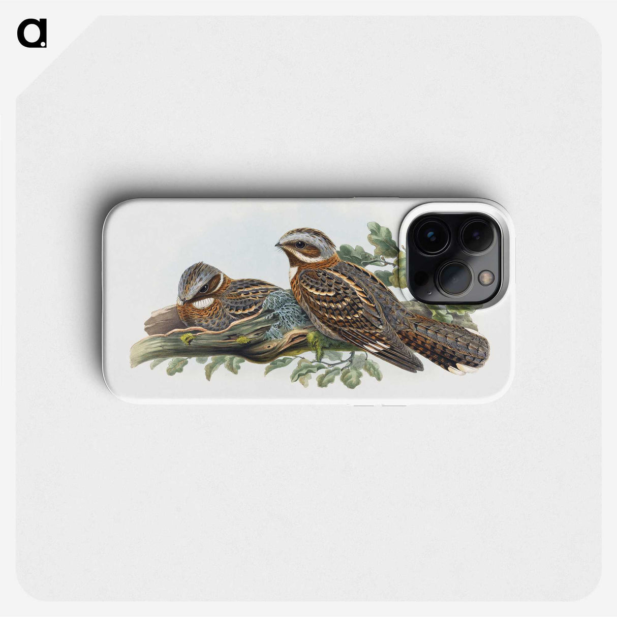 1-15_John-Gould_phone