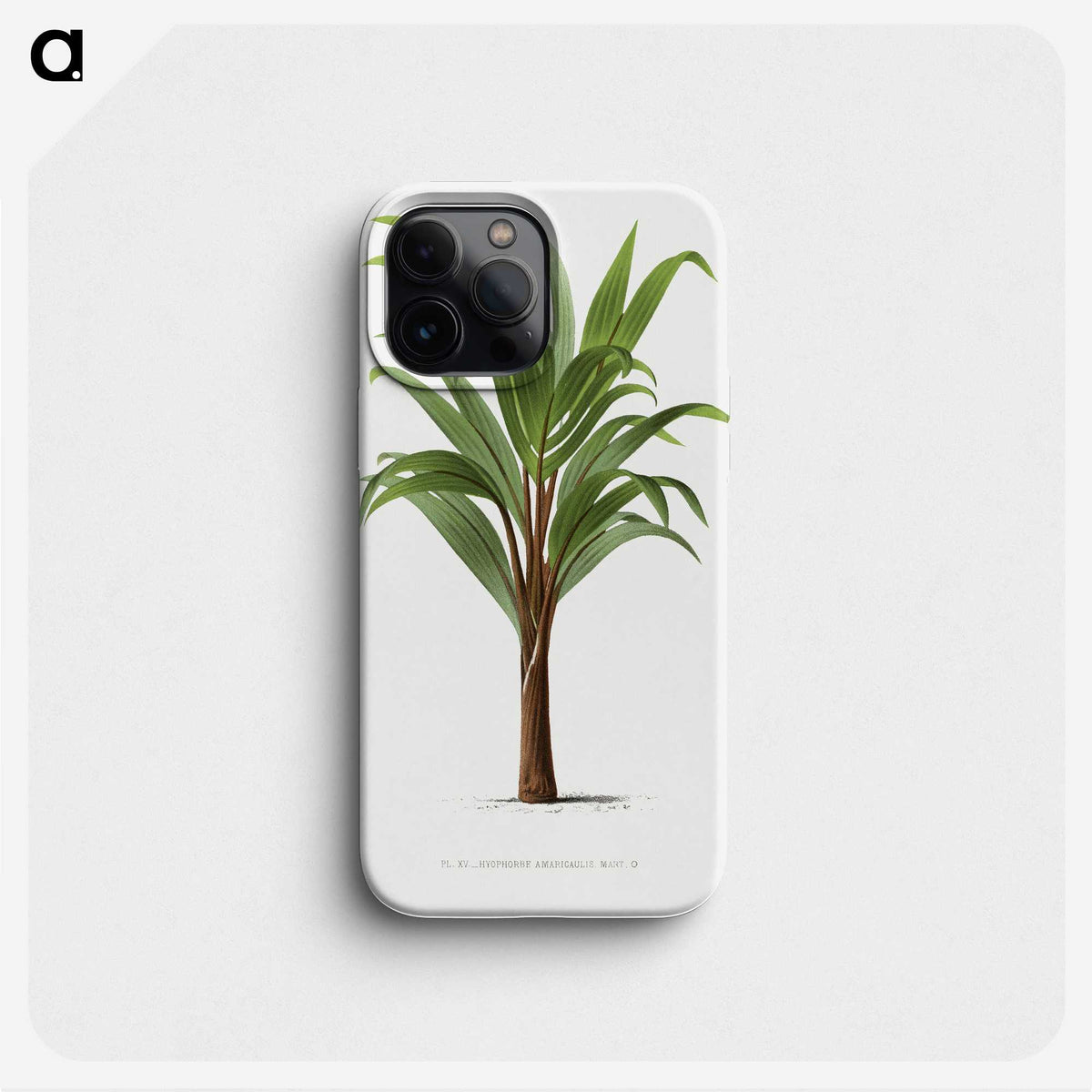 1-15_Les-Palmiers-Histoire-Iconographique_phone