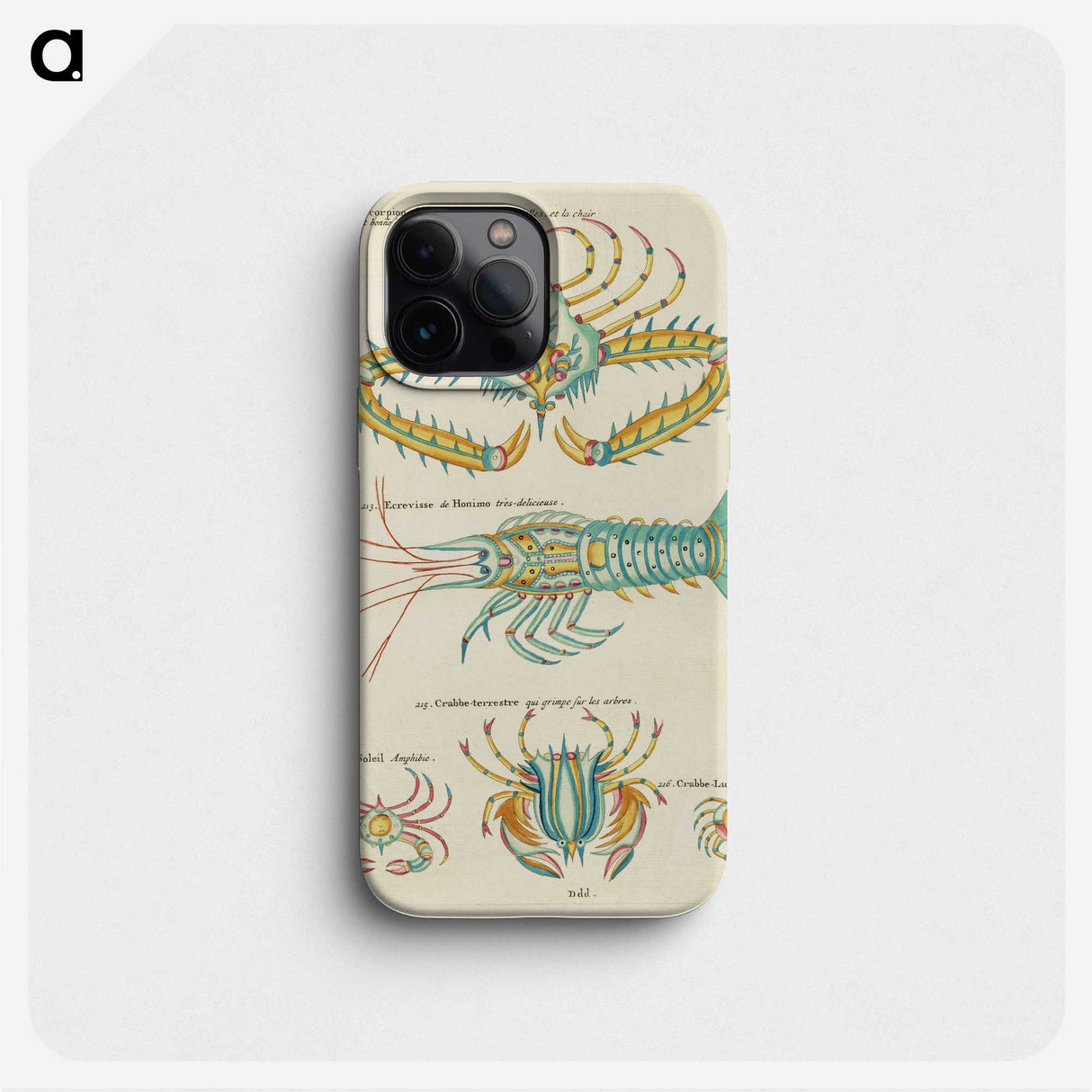 1-15_Louis-Renard_phone
