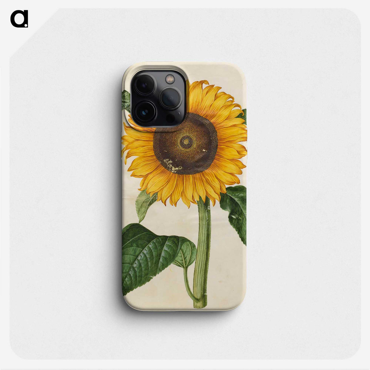1-15_Maria-Sibylla-Merian_phone