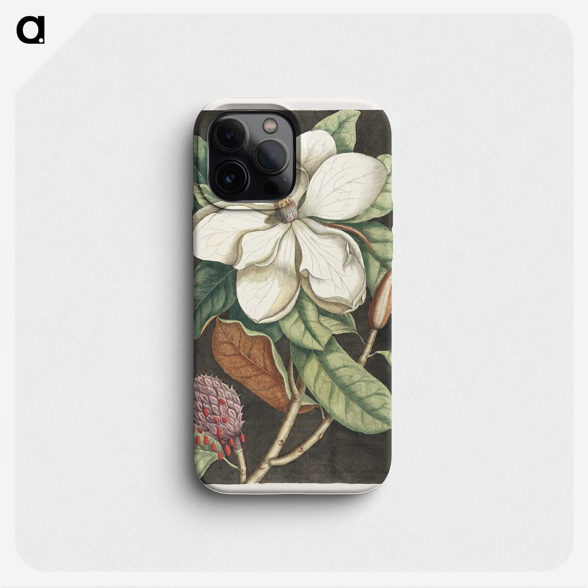 1-15_Mark-Catesby_phone