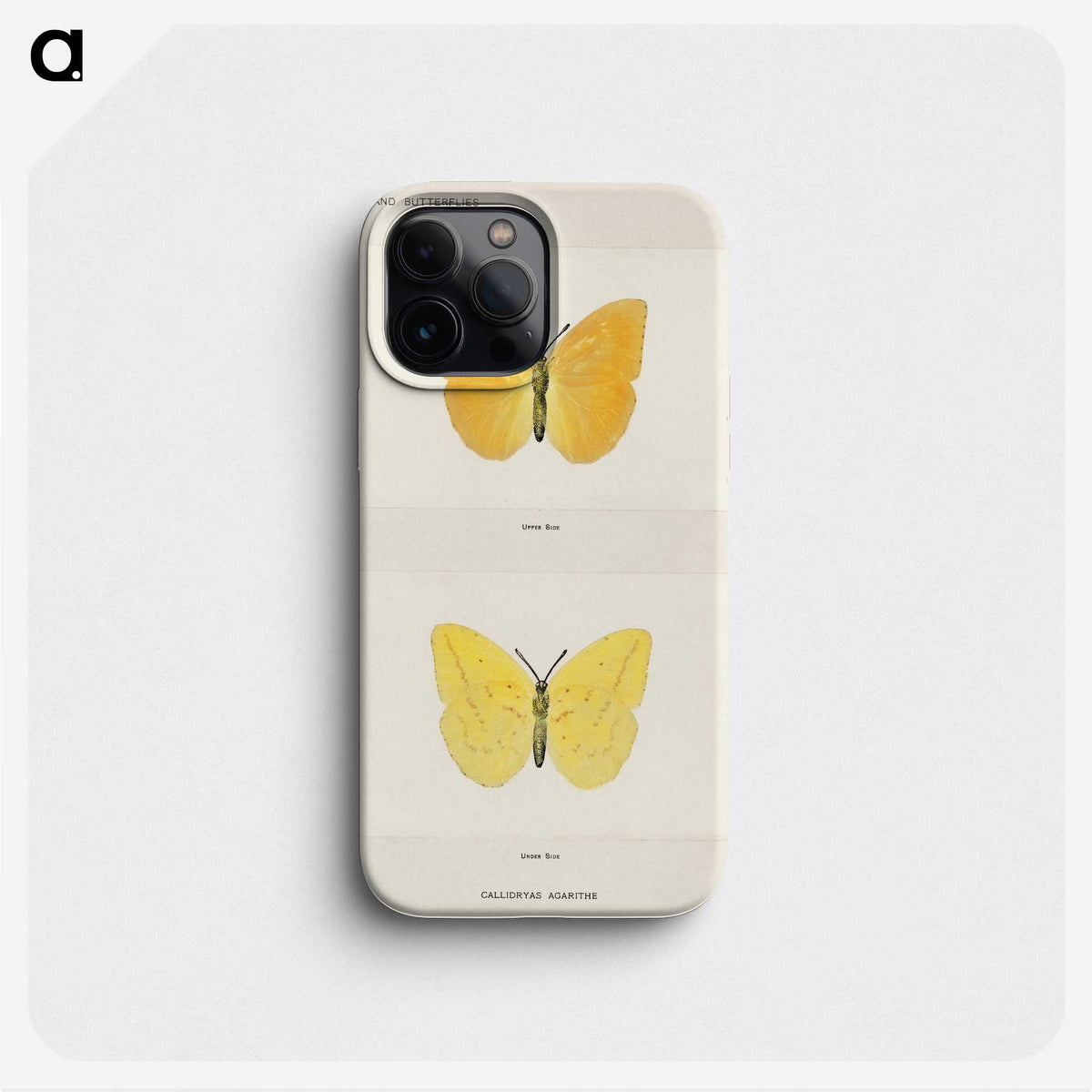 1-15_Moths-and-Butterflies-of-the-United-States_phone