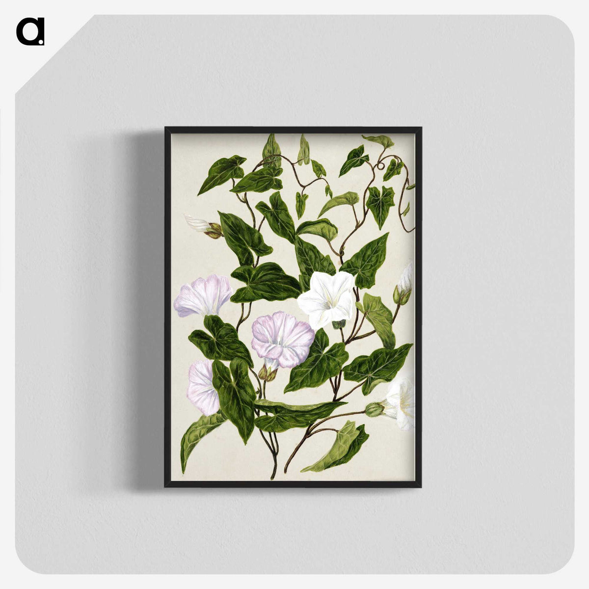 1-15_Native-Flowering-Plants-of-New-Zealand_blk-crop