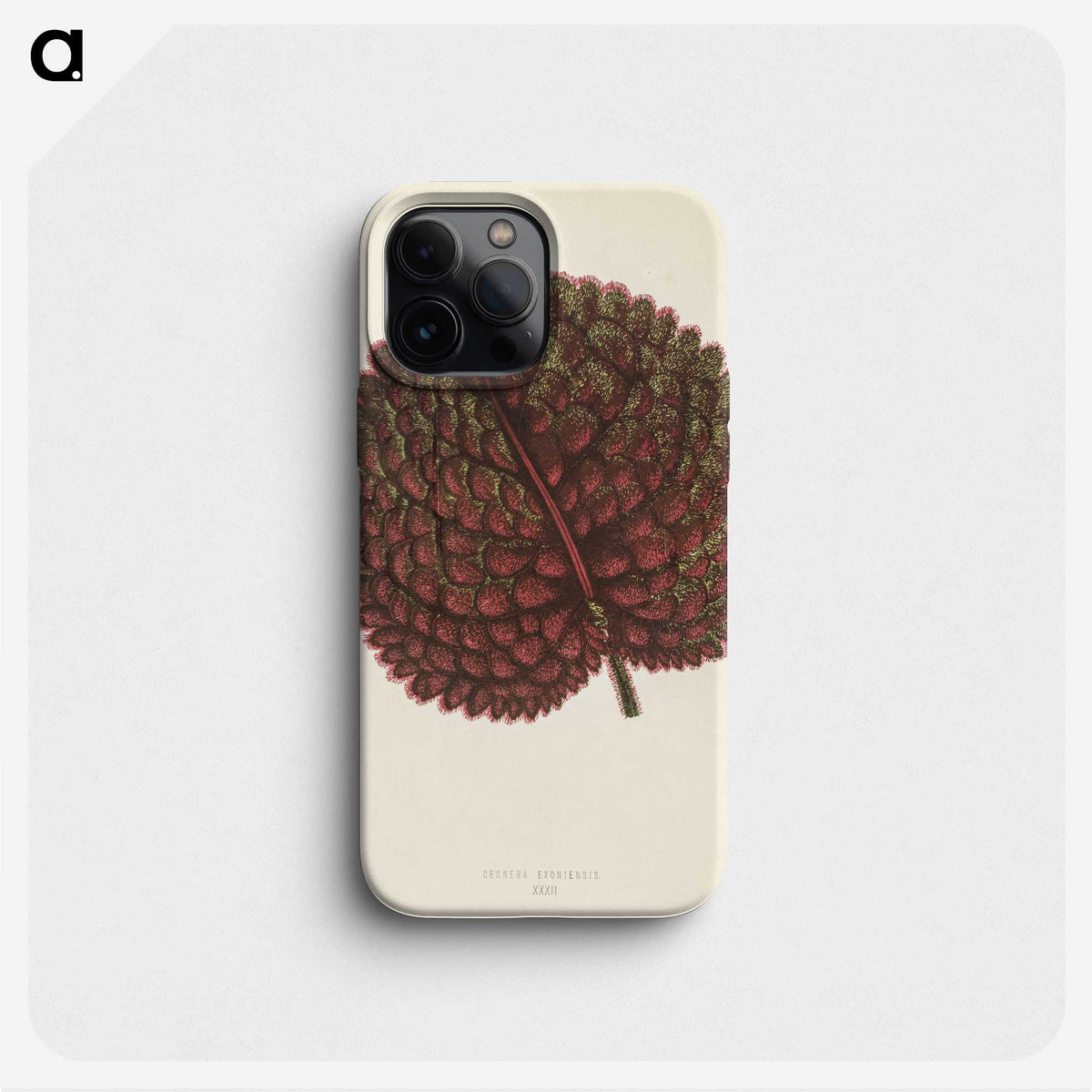 1-15_New-and-Rare-Beautiful-Leaved-Plants_phone