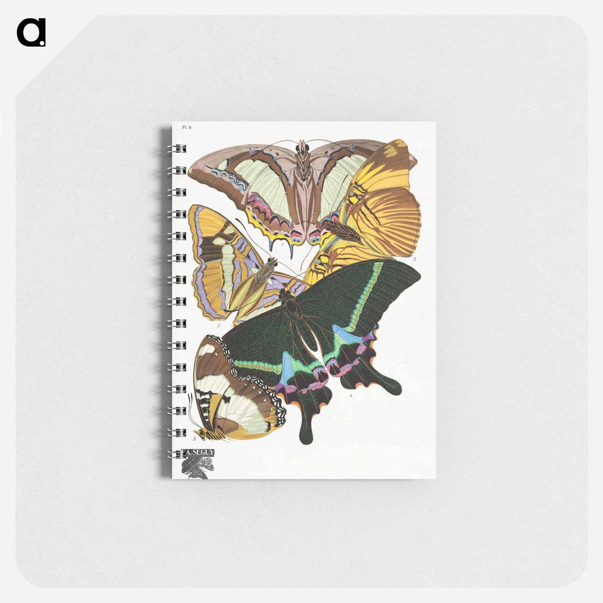 アートメモ帳-Vintage Butterflies
- パピヨン Memo.