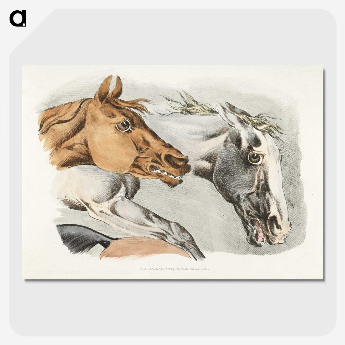 1-15_Sporting-Sketches_picture-crop