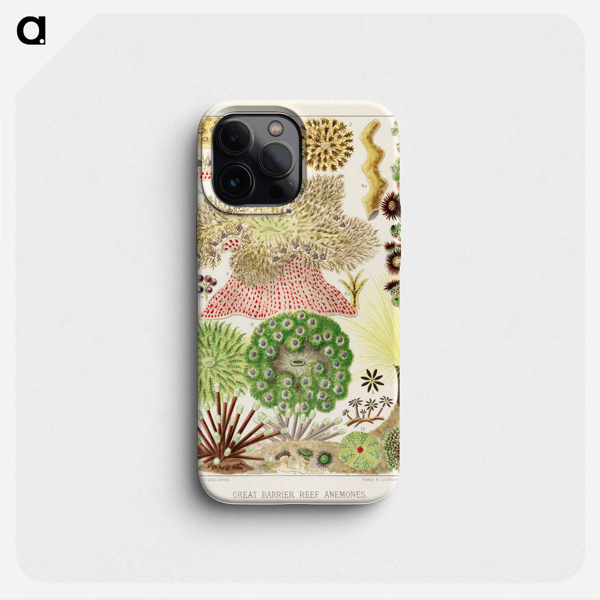 Great Barrier Reef Anemones - オーストラリアのグレートバリアリーフ Phone Case.