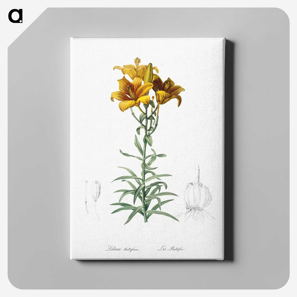 1-15_The-Lilies_canvas