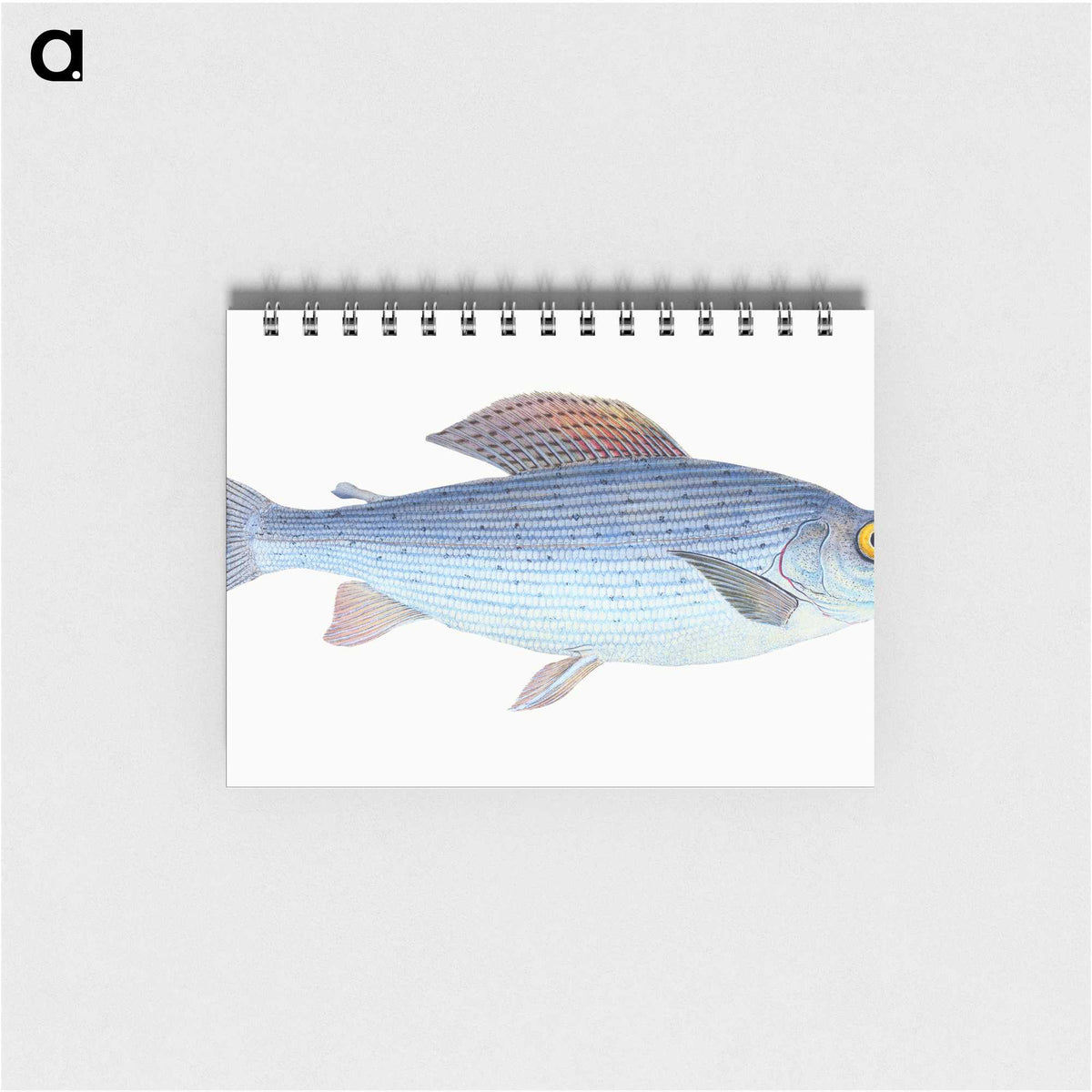 1-15_The-Natural-History-of-British-Fishes_memo