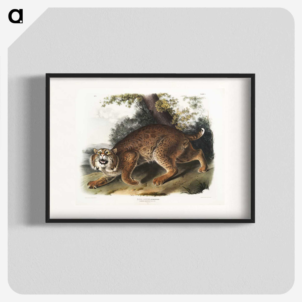 1-15_The-Viviparous-Quadrupeds_blk