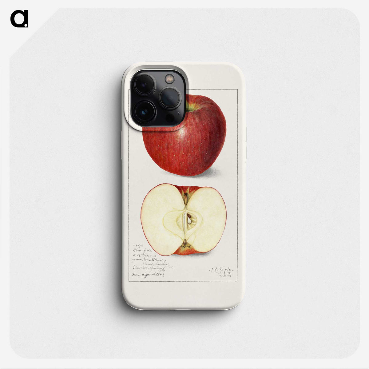 1-15_USDA-Watercolor-Fruit-Painting-Collection_phone