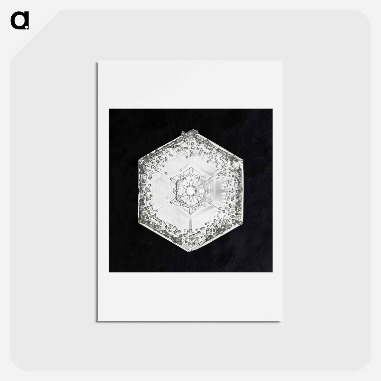 アートポストカード-Wilson Bentley's Snowflake 951 - ウィルソン ベントレー Postcard.