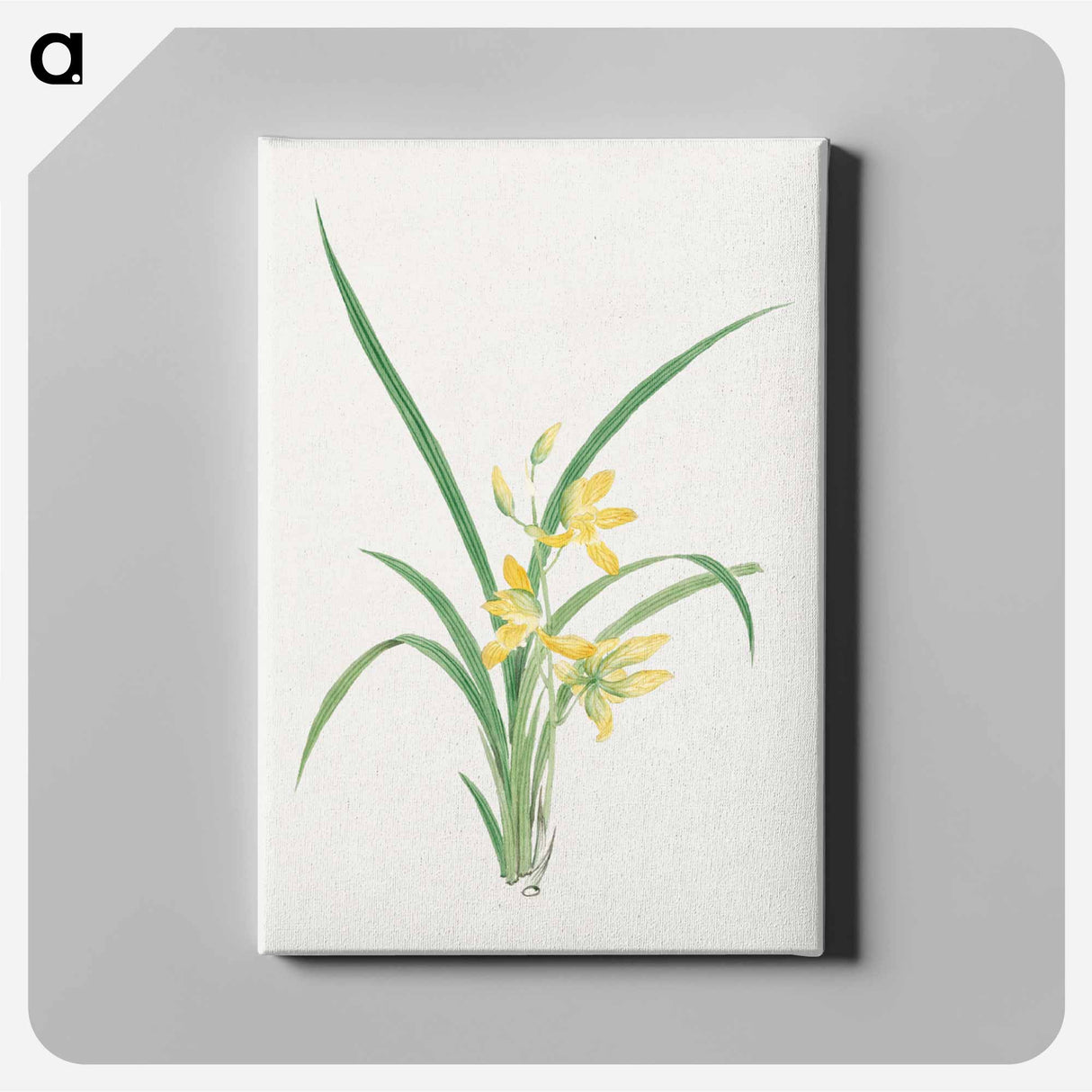 Ran - 19世紀の日本の花 Canvas.