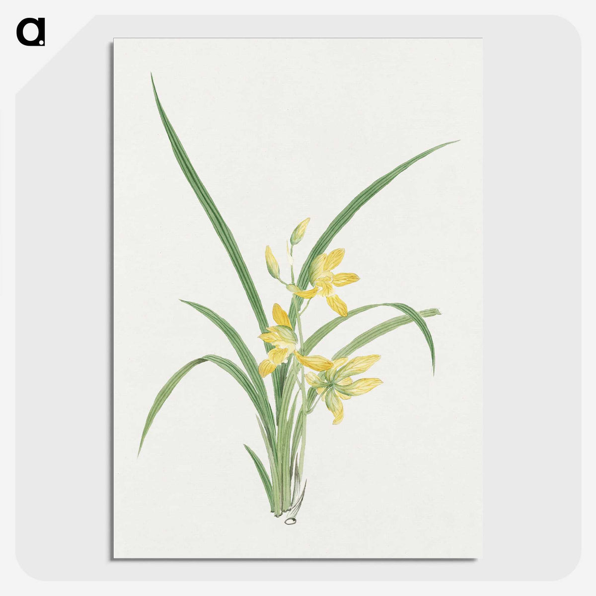 1-16_19th-Century-Japanese-Flowers_picture-crop