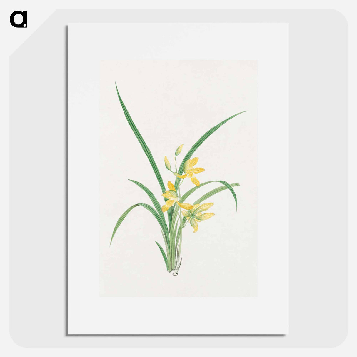 Ran - 19世紀の日本の花 Poster.