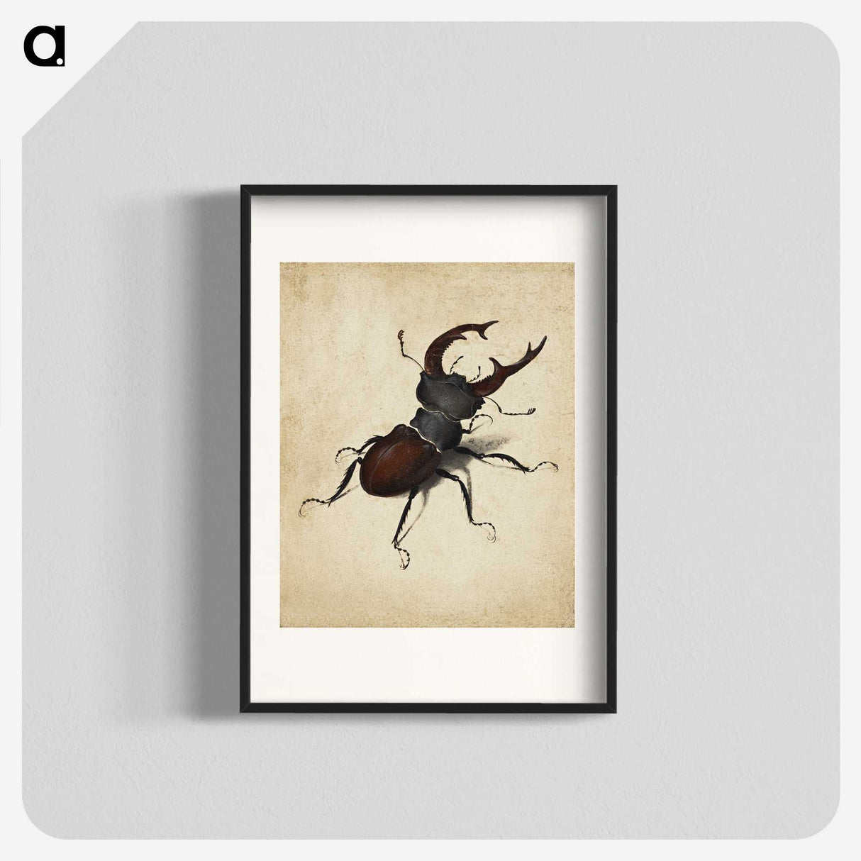 1-16_Albrecht-Durer_blk