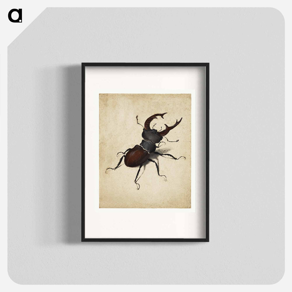 Albrecht Dürer's Stag Beetle - アルブレヒト デューラー Poster.