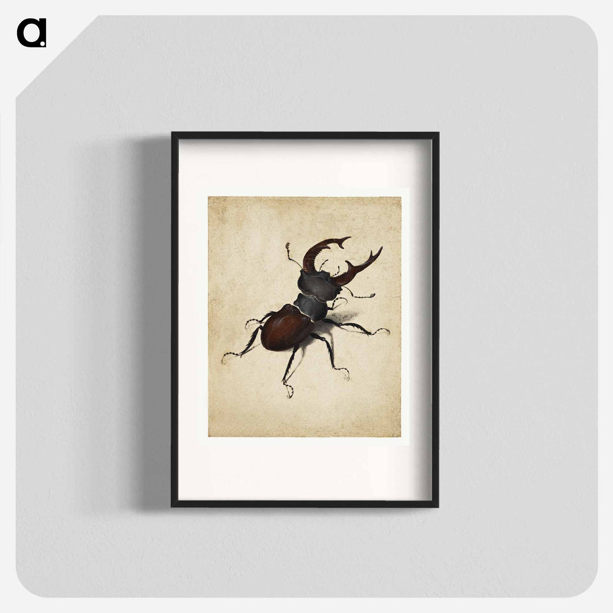 Albrecht Dürer's Stag Beetle - アルブレヒト デューラー Poster.
