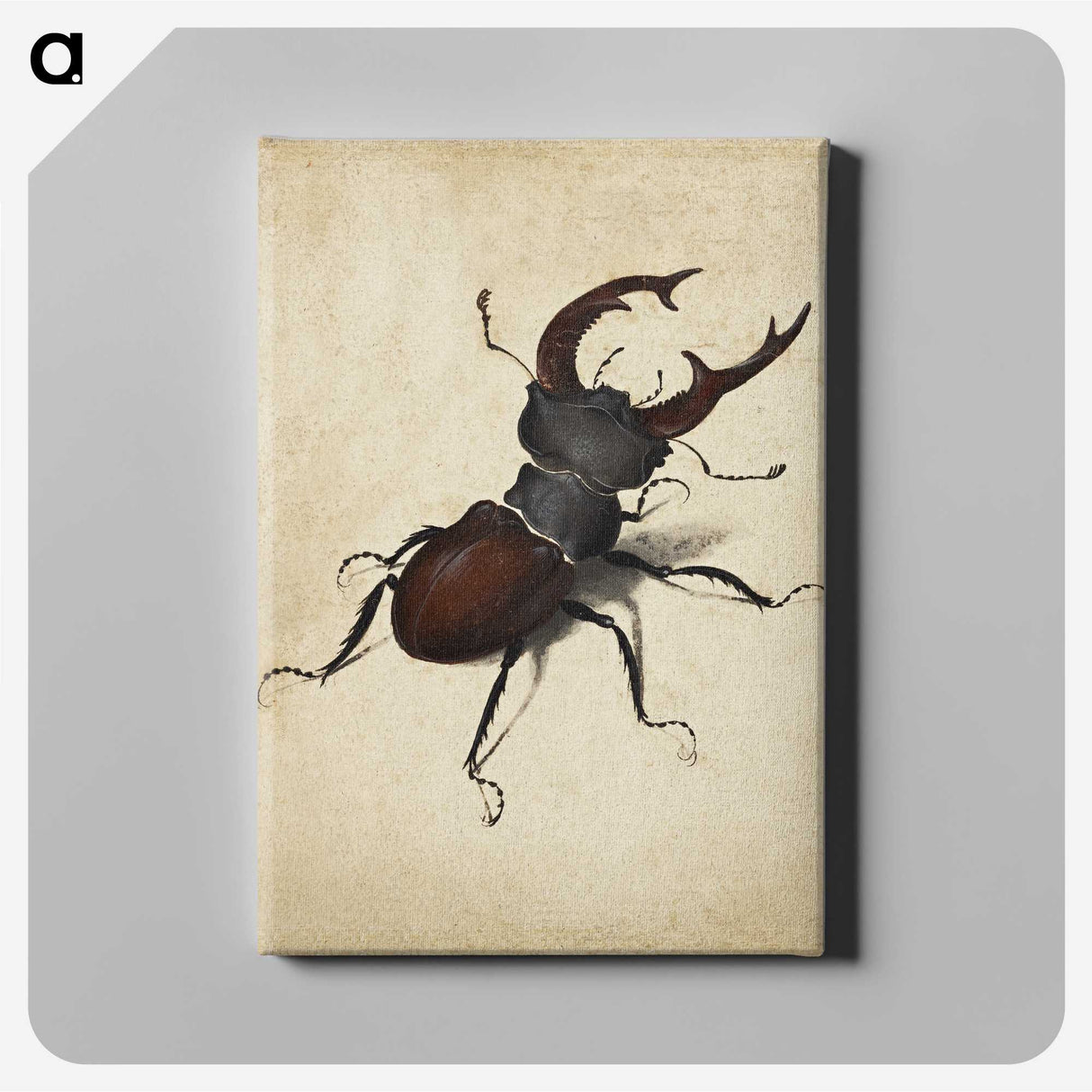 1-16_Albrecht-Durer_canvas