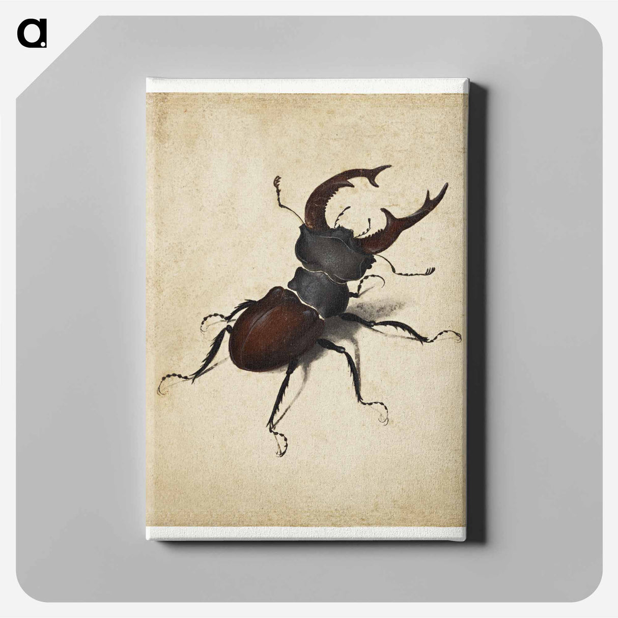 Albrecht Dürer's Stag Beetle - アルブレヒト デューラー Canvas.