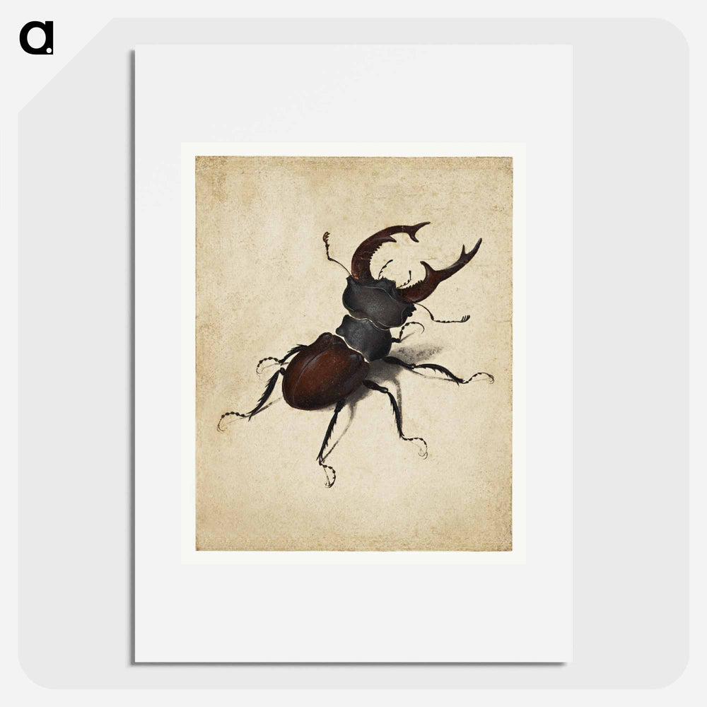 Albrecht Dürer's Stag Beetle - アルブレヒト デューラー Poster.