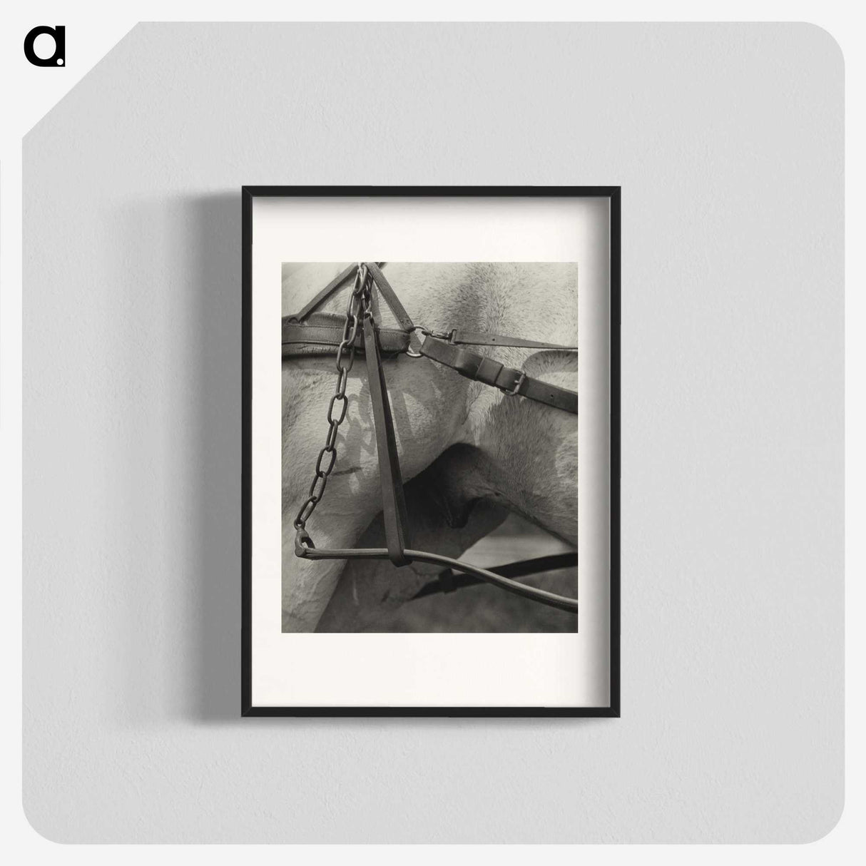 1-16_Alfred-Stieglitz_blk