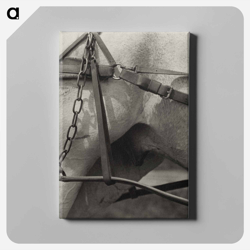 Spiritual America - アルフレッド スティーグリッツ Canvas.