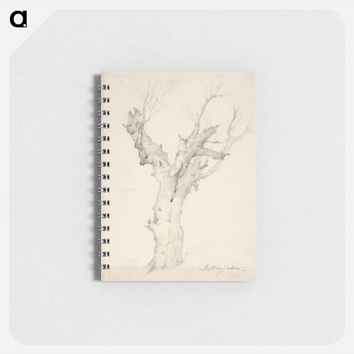 Vanha puu - アンダース エクマン Memo.