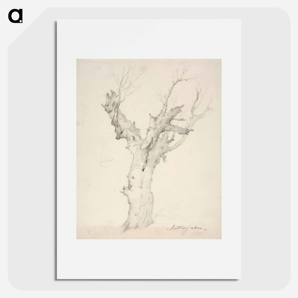 Vanha puu - アンダース エクマン Poster.